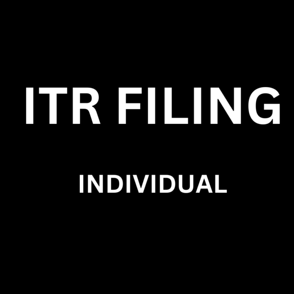 Individual filing income tax return online ITR form submission for tax year 2024 E-filing income tax return process Taxpayer submitting ITR form electronically Online tax filing for individuals